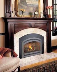 Fireplace Inserts Wood Gas Pellet