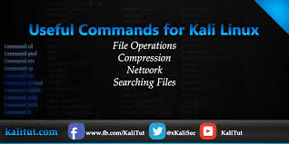 kali linux commands the basic you must