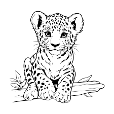 baby cheetah isolated coloring page for