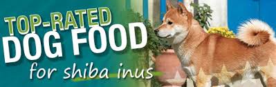 What Is The Best Dog Food For A Shiba Inu