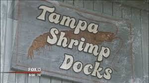 tampa s shrimp docks you