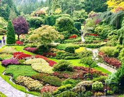 The Best Gardens In Vancouver For A