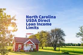 usda direct loan income limits in north