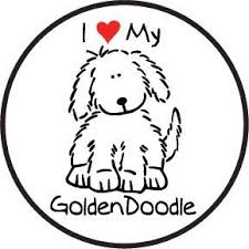Never get a bad goldendoodle haircut again! Goldendoodle Gifts For Dog Lovers My Rulez Sketch Coloring Sketch Coloring Page Goldendoodle Doodle Dog Dog Lover Gifts