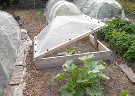 how to build a cold frame tips for