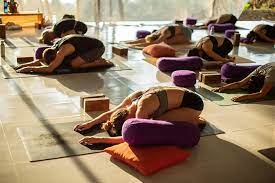 yin yoga teacher training in india