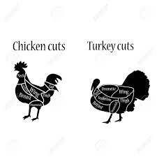 Vector Illustration Chicken And Turkey Cuts Diagramm Or Chart