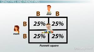 Punnett Square Definition Example