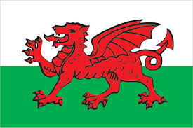 Image result for welsh Flag