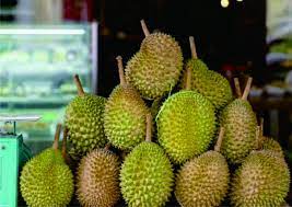 We did not find results for: Cara Bawak Durian Naik Kereta