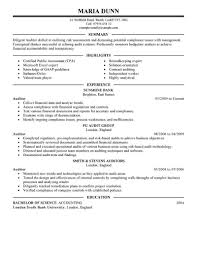 Best Auditor Resume Example Livecareer