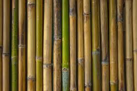 decorating your bathroom with bamboo