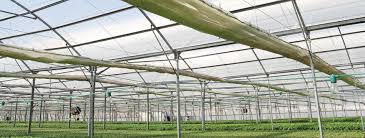 commercial greenhouse plastic