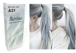 Berina A21 Light Grey Silver Permanent Hair Dye Color Cream Unisex Punk Style Ebay