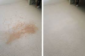carpet cleaning garland texas local
