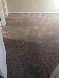 residential carpet cleaning photos