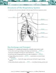 Don't smoke, try to stay away from pollutants and irritants, wash your hands often to avoid infection, and get regular medical checkups. 33 1 The Circulatory System Pdf Free Download