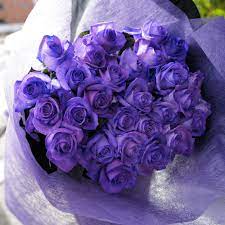 紫のバラ 30本の花束 | 色から探す,紫,紫のバラ,花束 | ROSESHOP 青いバラ、レインボーローズの専門店