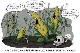 La Commission européenne autorise deux OGM de la société Monsanto Images?q=tbn:ANd9GcSd5oMWBRBABppeVk7UVD_eQbfzv1nyzgXeFqGioTSXiPf84EmM