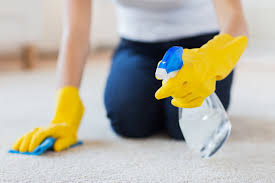 diy carpet cleaning pros cons dr