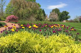 tower hill botanic garden