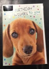 Dog, cat and pet cards. Open Female Dachshund Birthday Card Cute Sausage Dog By Hallmark Free P P 1 85 Picclick Uk