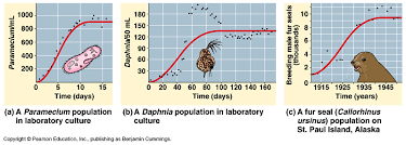 Logistic Model For Population Growth