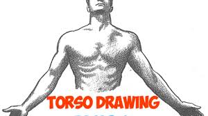 Understand the human torso with full + half sized models of the muscles, body structures + organs. How To Draw The Human Torso And Chest Body Figure Drawing Tutorial How To Draw Step By Step Drawing Tutorials