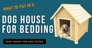 Dog House For Bedding Dog Training