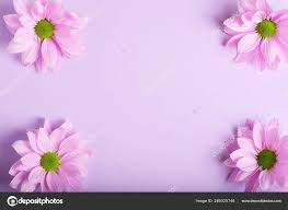 delicate pink flowers background copy