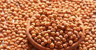 calories in chana nutrition health
