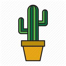 Image result for cacti