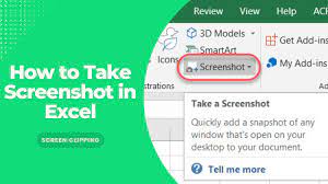 how to take screenshot in excel