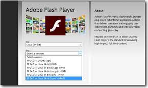 Adobe flash player 31 npapi (31.0.0.122) version : Which Adobe Flash Player Version To Install Npapi Or Ppapi Or Activex