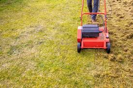 2024 lawn dethatching cost power