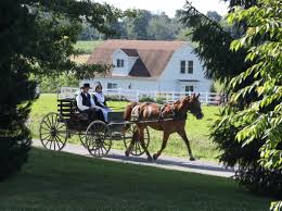 10 strange amish rules and laws