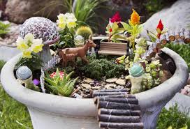 make a fairy garden with succulents and