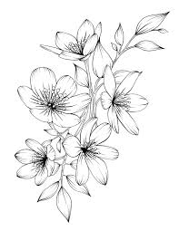 Learn how you can draw different flowers step by step. Best Picture For Flowers Drawing Tulip For Your Taste You Are Looking For Something And It Is Goin Flower Drawing Beautiful Flower Drawings Flower Sketches
