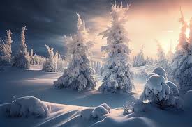 perfect wintry wallpapers magical nature