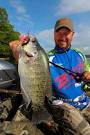 Crankbaits For Crappies - In-Fisherman