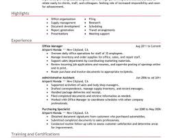 Account Manager Resume Example  Sample Sales Professional Resumes     Banking Customer Service Resume Template are examples we provide as  reference to make correct and good quality Resume  Also will give ideas and  strategies    