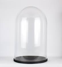 Large Glass Dome Cover Cloche Display