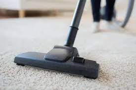 carpet steam cleaner professional