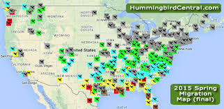2015 Hummingbird Spring Migration Map 2015 Hummingbird