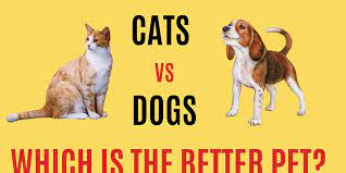 cats vs dogs which is the better pet