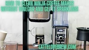 how to clean ninja coffee maker without