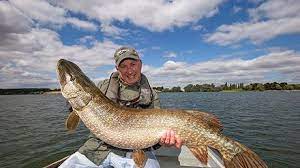 As mentioned above, you should remember that fish like to hide in deeper. Fishing Near Me 13 Waters To Try For Big Pike Advice Angling Times