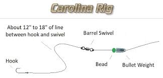 Carolina Rig To Catch Saltwater Fish Skiff Life Fishing