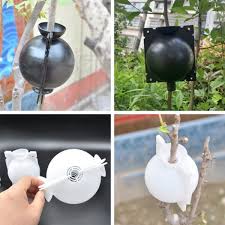 3 sizes adjustable plant rooting ball