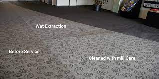 dry and wet carpet cleaning